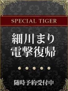  細川まり(33歳)虎の穴(デリヘル) - 写真